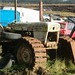 David Browning Photo 26