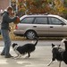 Steven Collie Photo 16