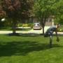 Brad Sherman Photo 7
