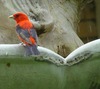 Linda Johnston Photo 15