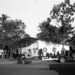 Darwin Hall Photo 21