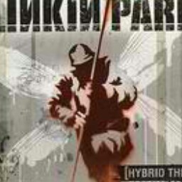 Juan Betancort Photo 6