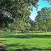Julia Parks Photo 19