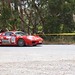 Debra Fitzpatrick Photo 27