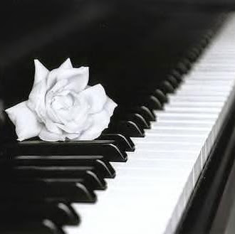Diana Fortuna Photo 6