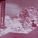 Frances Alston Photo 9