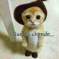 Reymundo Alvarado Photo 6