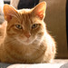 Malcolm Short Photo 2
