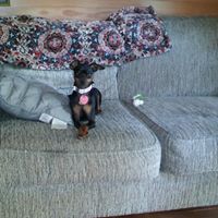 Cindy Herring Photo 13