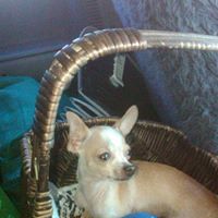 Darlene Sherman Photo 3