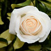 Joann Bloom Photo 5