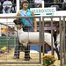 Andrea Yeager Photo 19