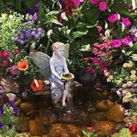 Lisa Abshire Photo 23