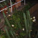 Dawn Birdsong Photo 14