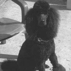 Amy Renfroe Photo 7