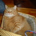 Maureen Colby Photo 9