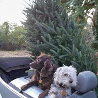 Nancy Mcelroy Photo 11