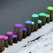 Timothy Snow Photo 30