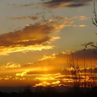 Susan Pyle Photo 27