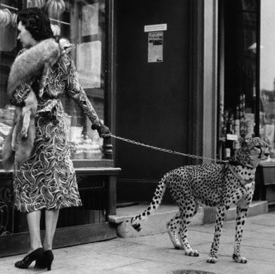 Judith Martin Photo 4