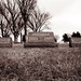 Nancy Kenyon Photo 19