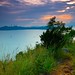 Samuel Hong Photo 8