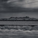 William Sutter Photo 16