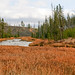 Cliff Gardner Photo 9