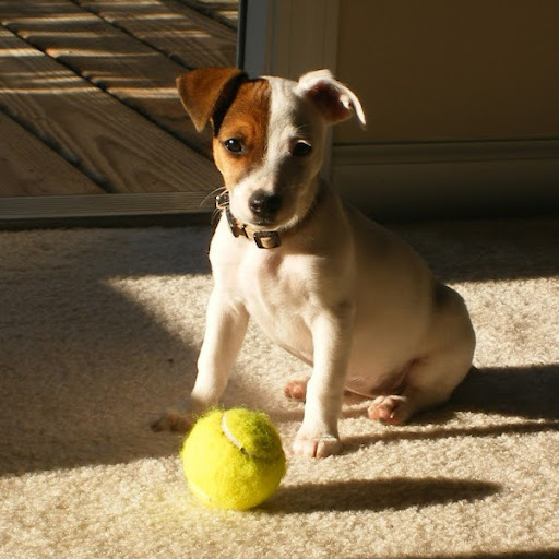 Teresa Corbitt Photo 13