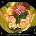 Kristin Rose Photo 12