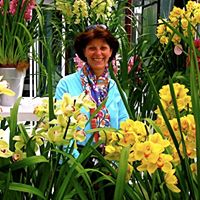 Karin Miller Photo 32