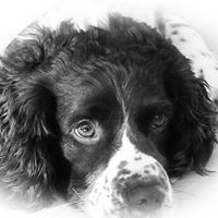 Fred Shepherd Photo 26