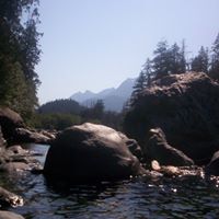 Shelley Chester Photo 9