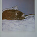 Deborah Bye Photo 10