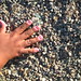 Terrie Green Photo 32