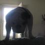 David Farley Photo 5