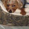 Cynthia Mccullough Photo 29