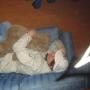 Daniel Wylie Photo 15