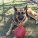 Donna Shepherd Photo 15