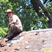 Ray Cunningham Photo 10