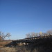 Raymond Bridges Photo 27
