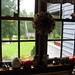 Janet Wisdom Photo 14