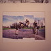 Neal Baxter Photo 16