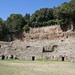 Peter Tufo Photo 9