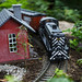 Mark Phipps Photo 28