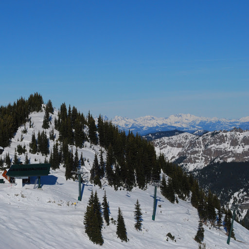 Nicholas Parker Photo 18