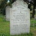 Ellen Garrison Photo 20