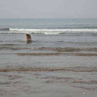 Sarah Bickers Photo 2