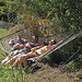 David Napper Photo 16