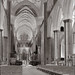 Bruce Monro Photo 5